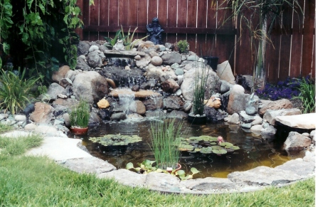 The pond I built