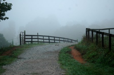Path to Pastures and Horses