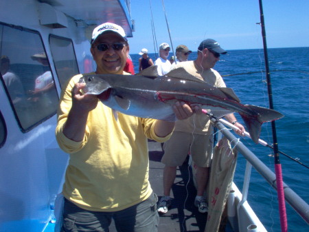 Gulf Of Maine