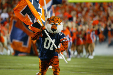 Aubie