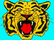 Mt. Sentinel High School Logo Photo Album
