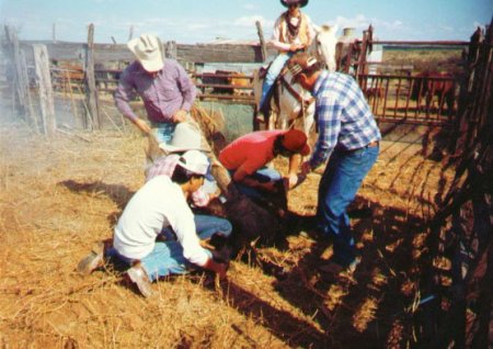 Prewit Ranch, Pecos, Tx