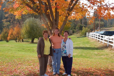 2006 Apple Hill