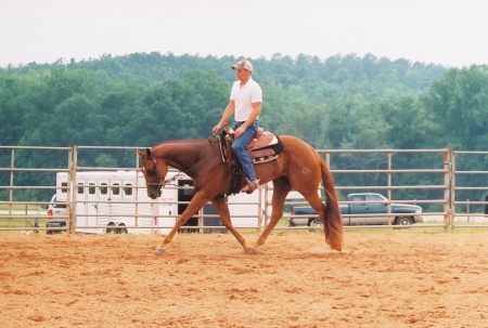 Hot Ocala Nights and Trainer, Cameron Crossman