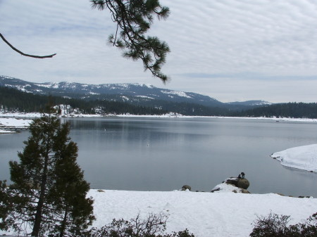 Shaver lake 2008