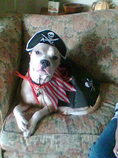 Capt'n Boscoe