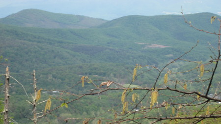 William Lightfoot's album, Appalaichain Trail