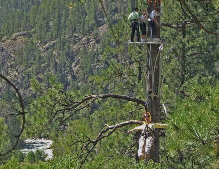 Treetop Soaring in Colorado