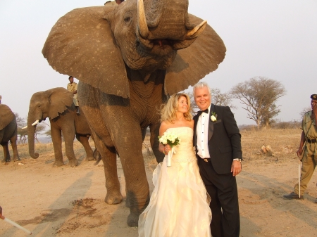 Wedding with Elephants