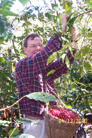 Picking coffee in Nicaragua