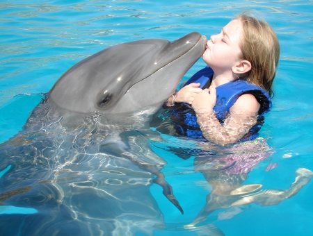 Swimming with dolphins