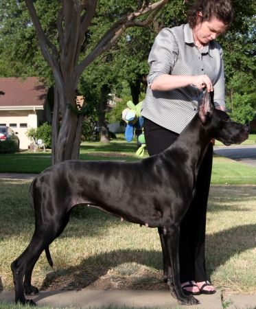 Me with Vita, my Great Dane, July 2008