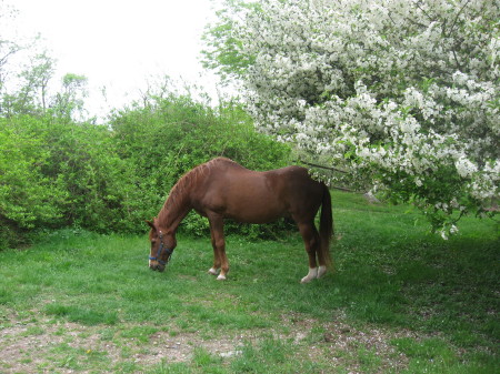 Gustave, May 2008