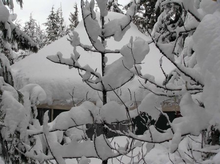 yurt in winter