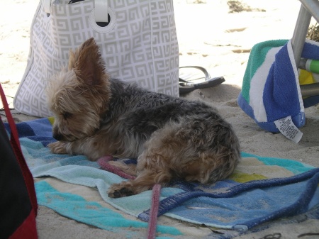 a day at the beach