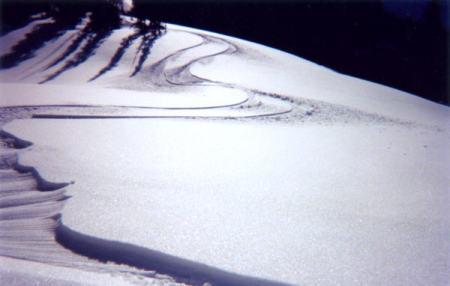 two snowboard tracks