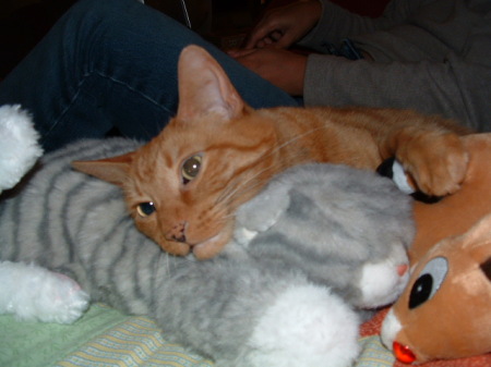 Vincey and his stuffed animals