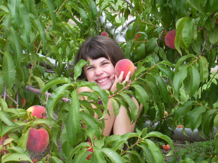 our yearly peach picking trip