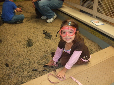 Digging for dinosaurs