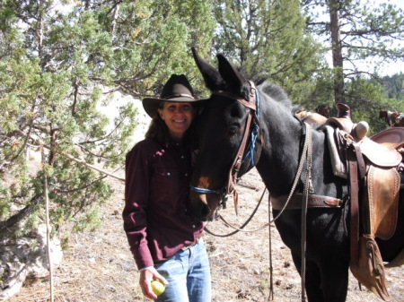 Riding a mule in Bryce Canyon, UT 2010