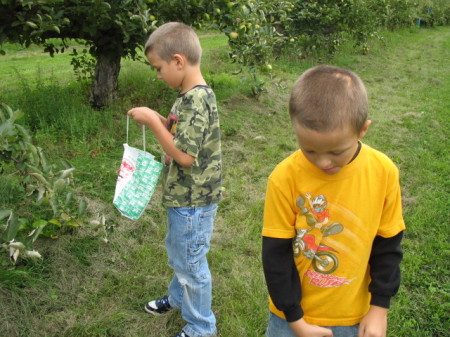 Apple Pickin'