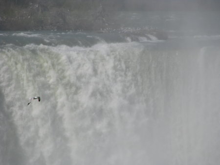 Niagra Falls