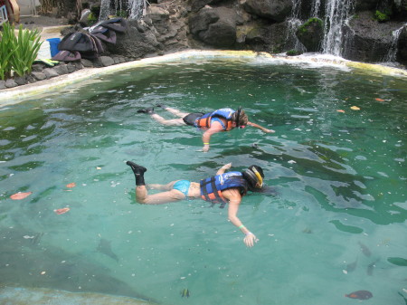 Snorkling in Hawaii