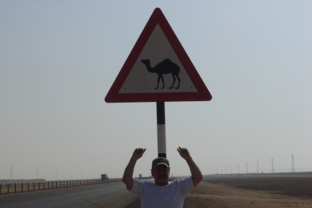 Camel Crossing