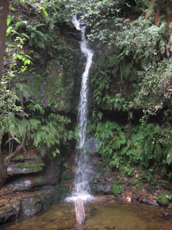 Waterfall in Blue Mtns