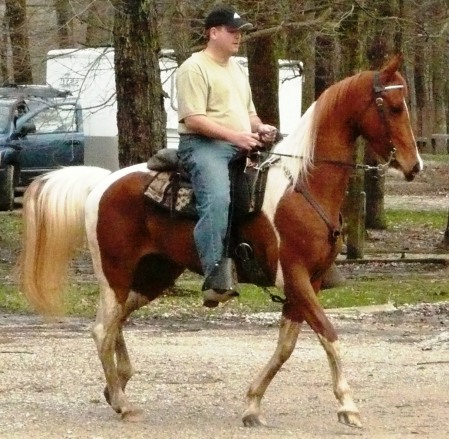 Riding my horse