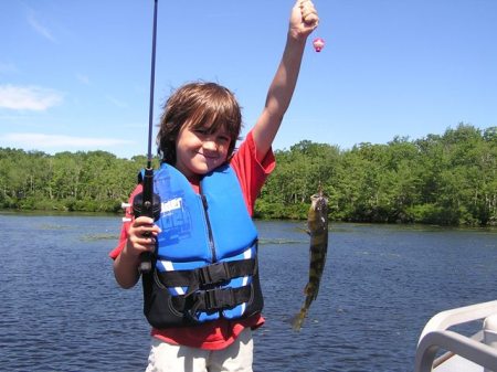 Logan catches a perch fishing with poppy