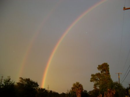 Tybee Rainbow
