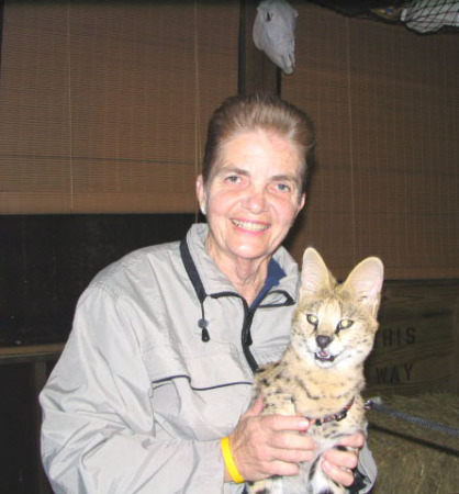 Teco, African serval