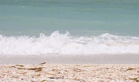 Sanibel Sea Level