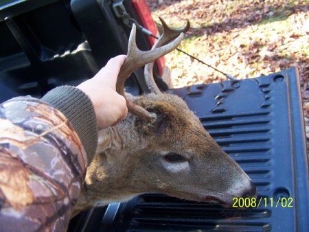 my buck this year 2008