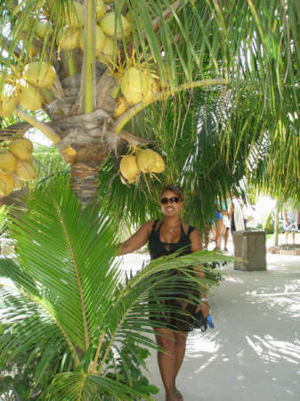 Wife under coconut 08