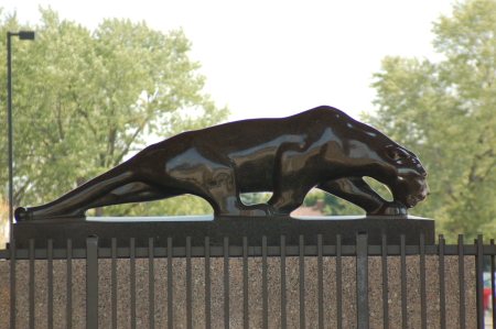 The Kiser Panther