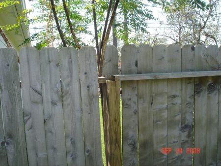 Damage to my fence - woo hoo