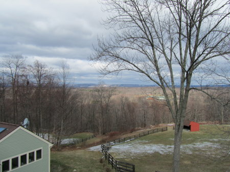 Michelle Molnar's album, Views from my Home in NY State