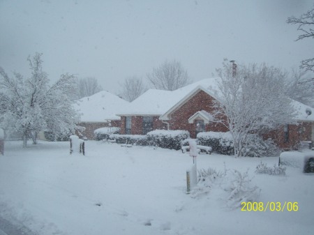 A RARE SITE IN TEXAS/ MARCH, 2008