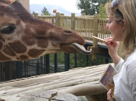 Colorado Springs, Zoo