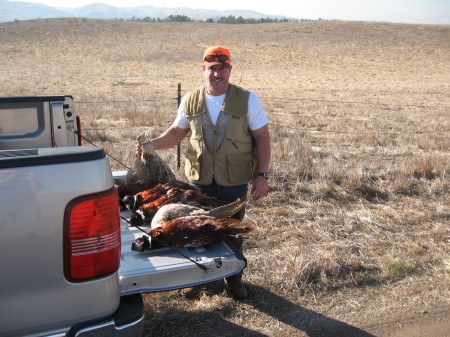 Pheasant Hunting