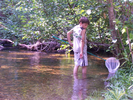 Ethan scooping minnows