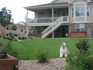 Backyard, Colorado