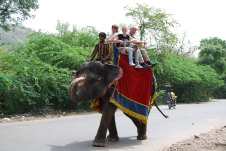 Elephant ride in Jaipur 6-2008