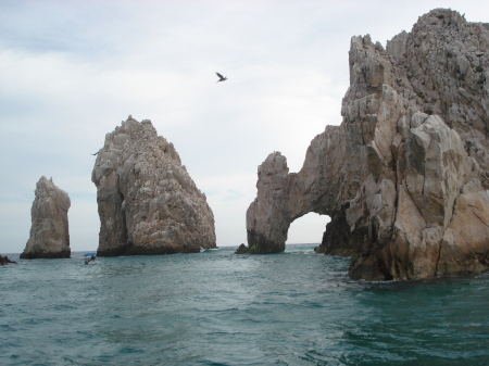 Cabo 2008