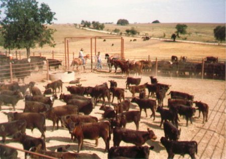 Powell Ranch