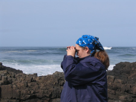 Sealwatching on the Oregon Coast