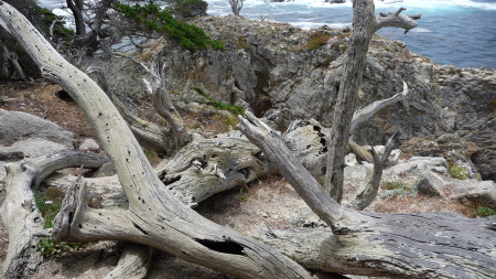 Robert Starkman's album, Coast Highway Trip July 2010