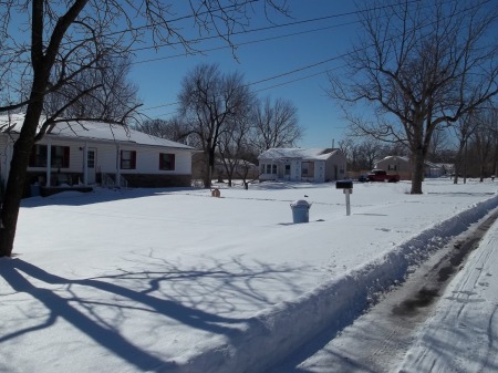 My Frontyard 02/03/2011